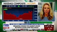 2024 is a tale of two stock markets: Liz Ann Sonders