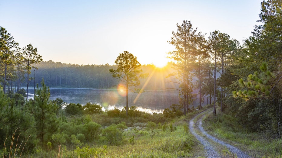 alabama winding trails