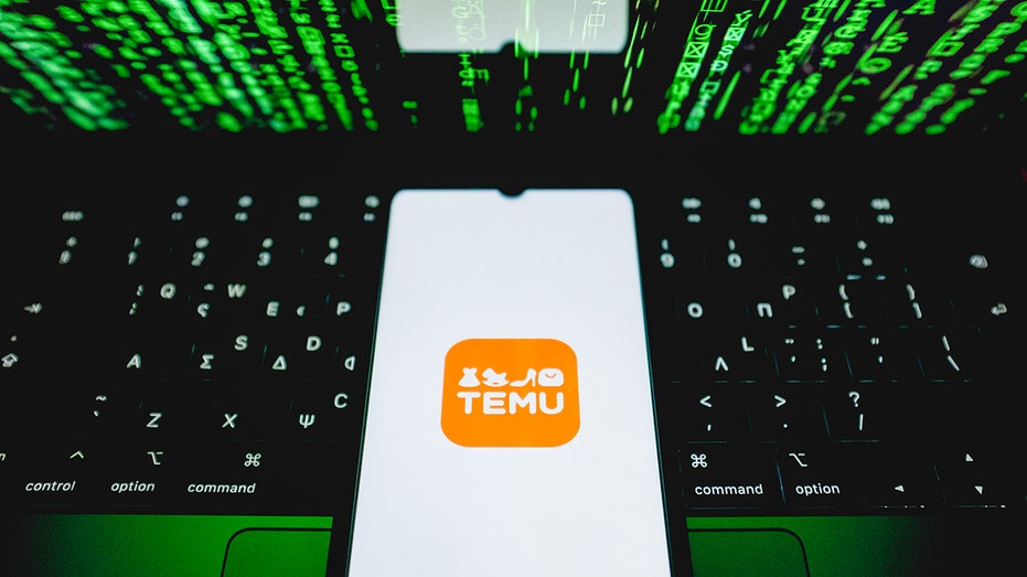 Temu app data security