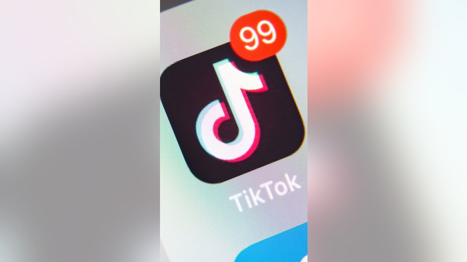 TikTok app